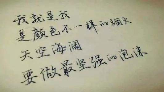 艺考升学攻略,艺考文化课冲刺成功助你艺路无忧