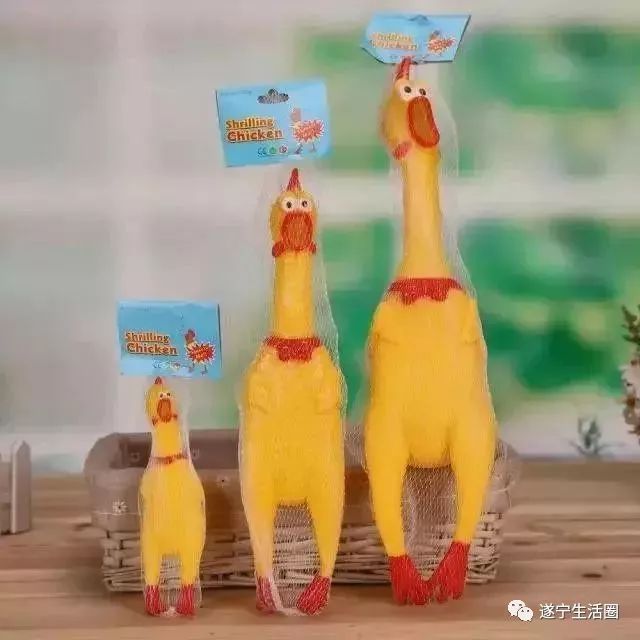 蓬溪一学生耍玩具枪“走火”手烧伤，店主承担一半医疗费