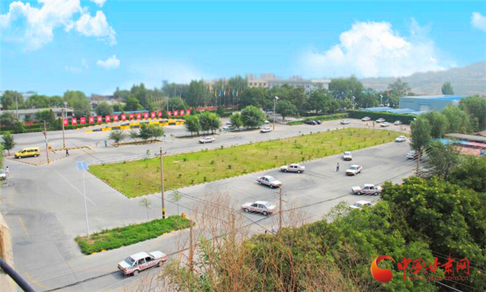 新年新征程公益路上中国甘肃网携手新通力驾校一路同行