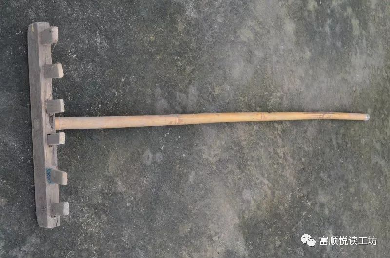 富顺方言得了怎么说,富顺最新土味方言