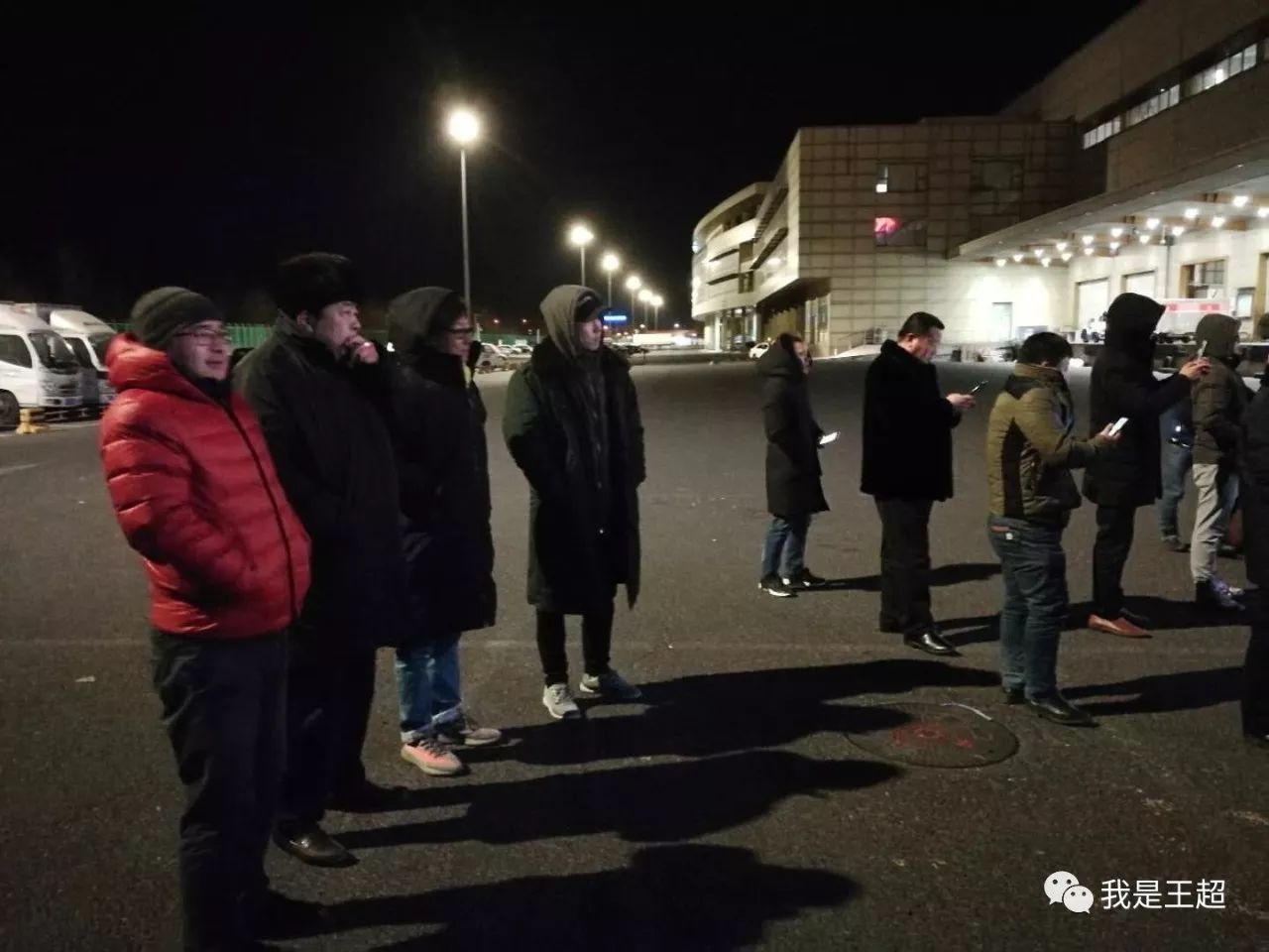 「多图」听说张总买的一飞机爱尔兰纯血马到首都机场了，我们去看了看