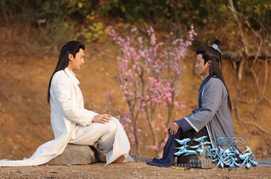 海马王子之王子的嫁衣剧情解说,海马王子之王子的嫁衣大结局视频