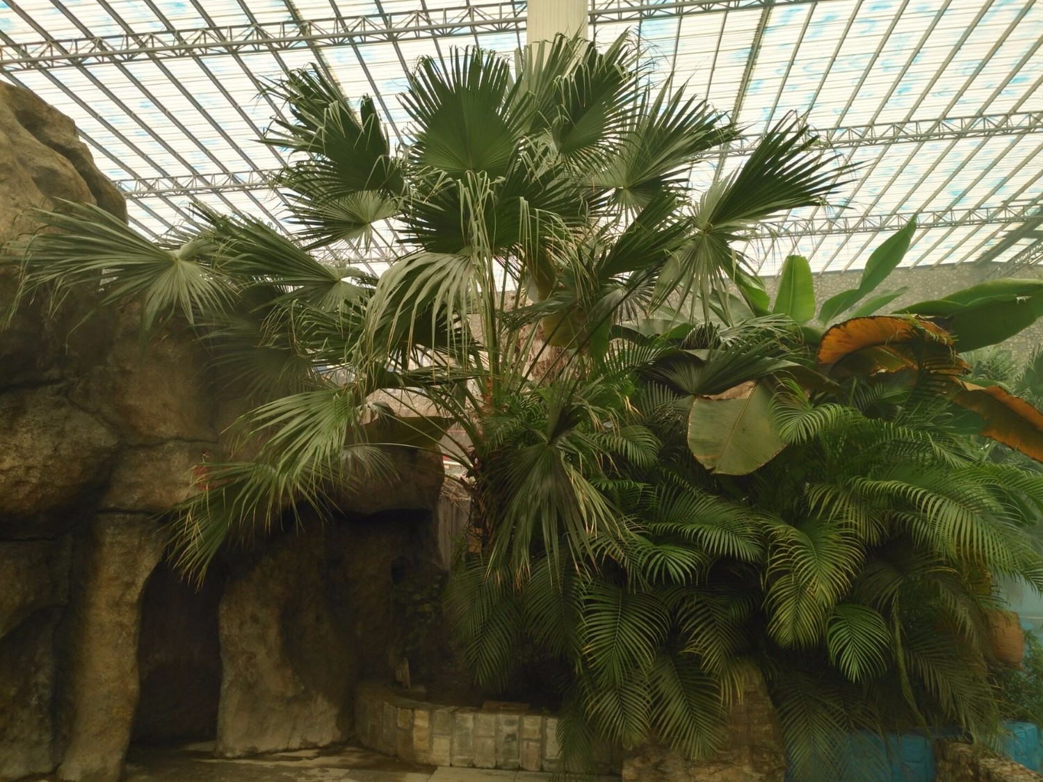 定州中山百姓园温泉度假村,定州中山百姓温泉度假村介绍