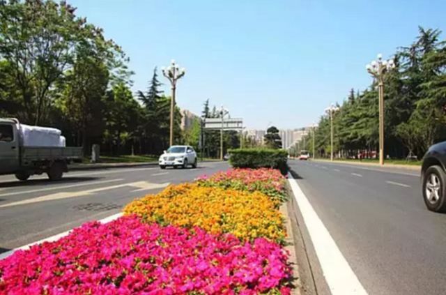 金牛怎么快速成长,金牛走出五年困局