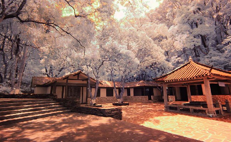 冬季深圳短途自驾一日游,深圳周边游玩好城市