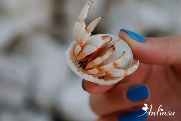 马尔代夫选岛攻略教你如何比别人省下5万块！