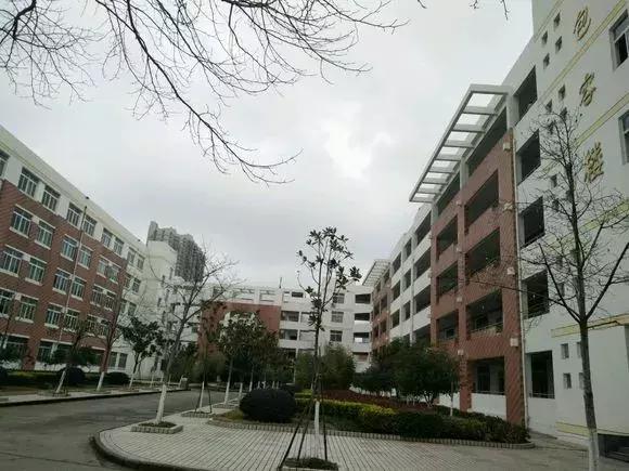 怀念莲塘一中,校园生活莲塘一中