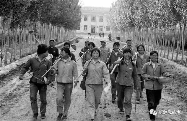 新疆新型城市,新疆刚建立的南疆城市