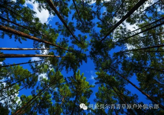 呼伦贝尔自由行攻略,呼伦贝尔自由行