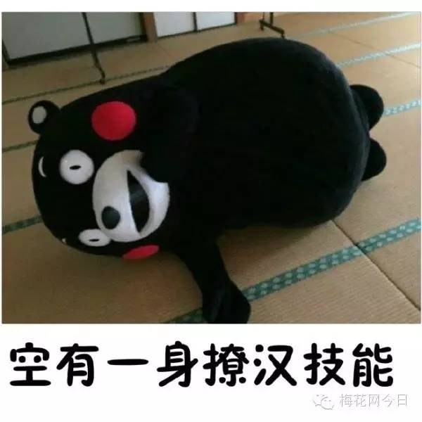 尔康表情包绿幕,尔康表情包原片段