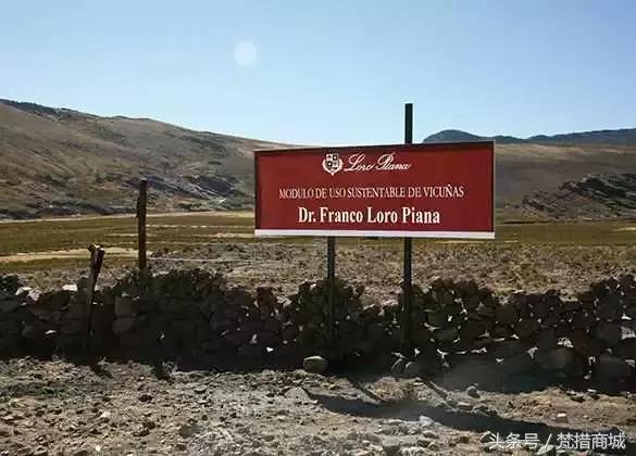 为什么羊绒衫很丑,为什么商场衣服越来越丑了