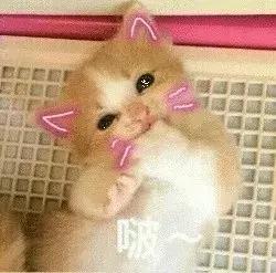 测你适合什么风格婚礼,婚礼测试搭配指数