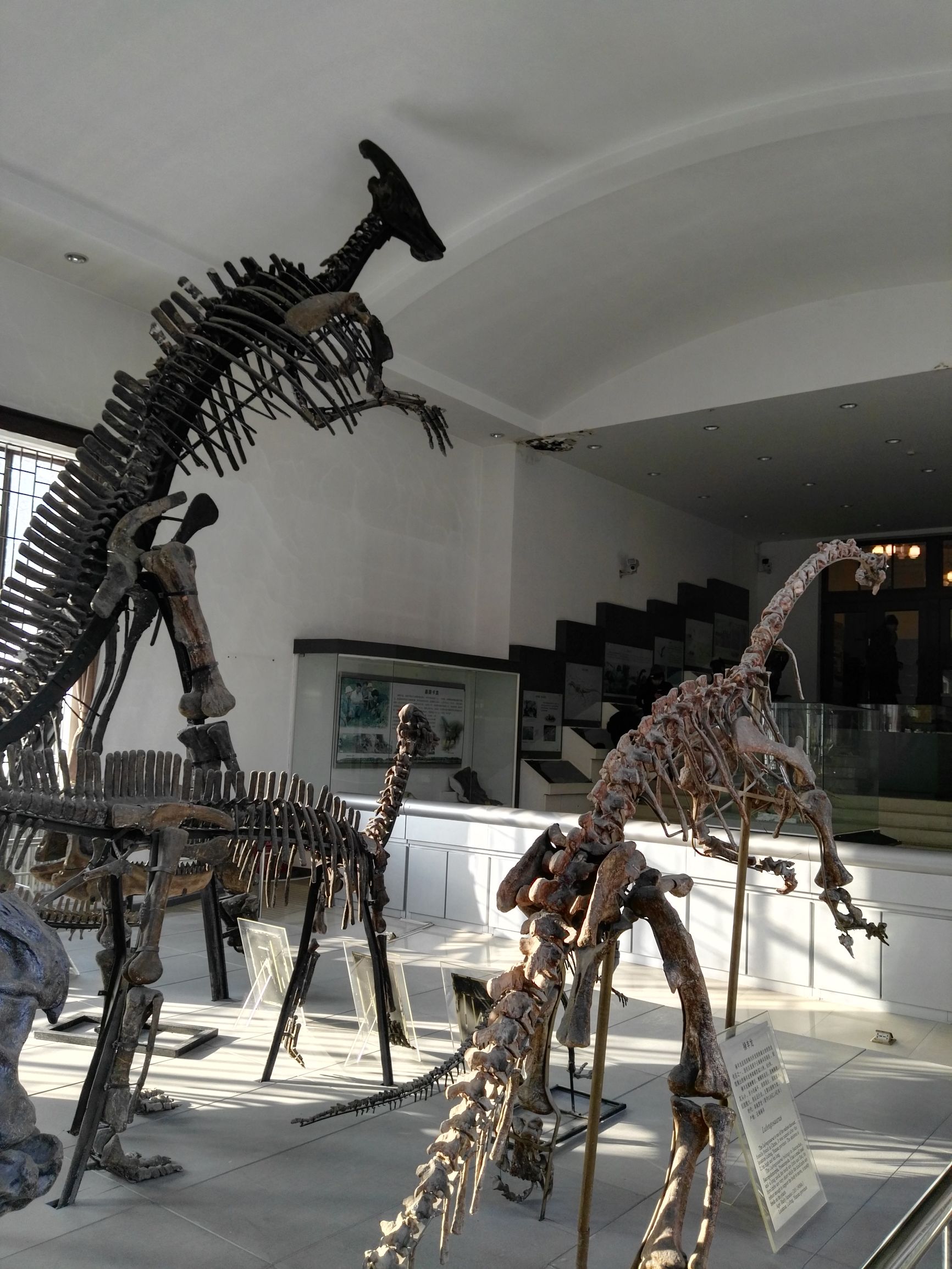 生命是什么最经典的回答,真正的生命是什么样的