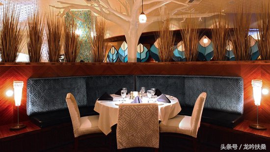 一见钟情取景地,一见钟情西雅图