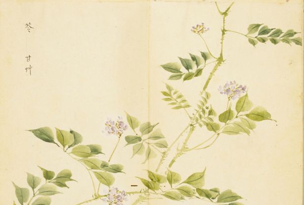 诗经中最唯美的名字,王姓女孩诗经中最唯美的名字