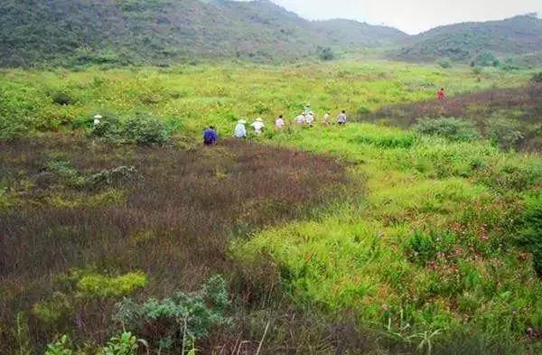 广东草原风景,广东绝美草原