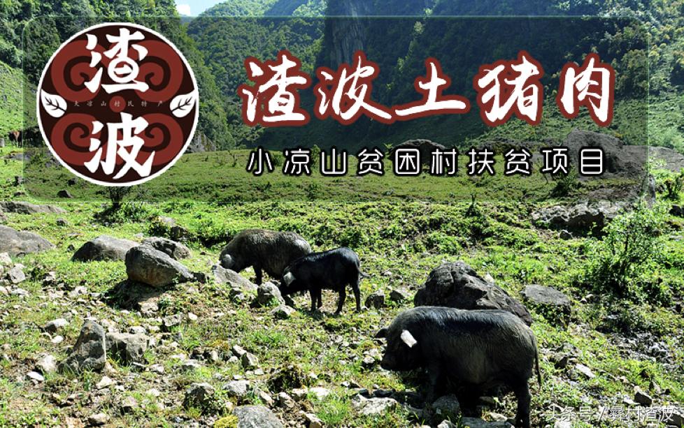 贫穷落后的小山村怎么脱贫致富,贫困村如何带领村民致富