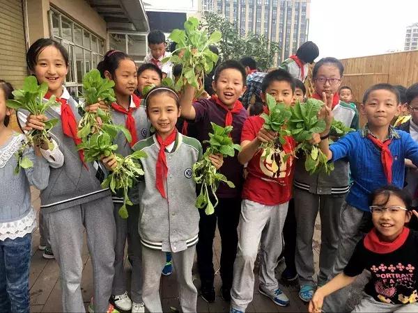 上海古猗小学怎么样,古猗小学