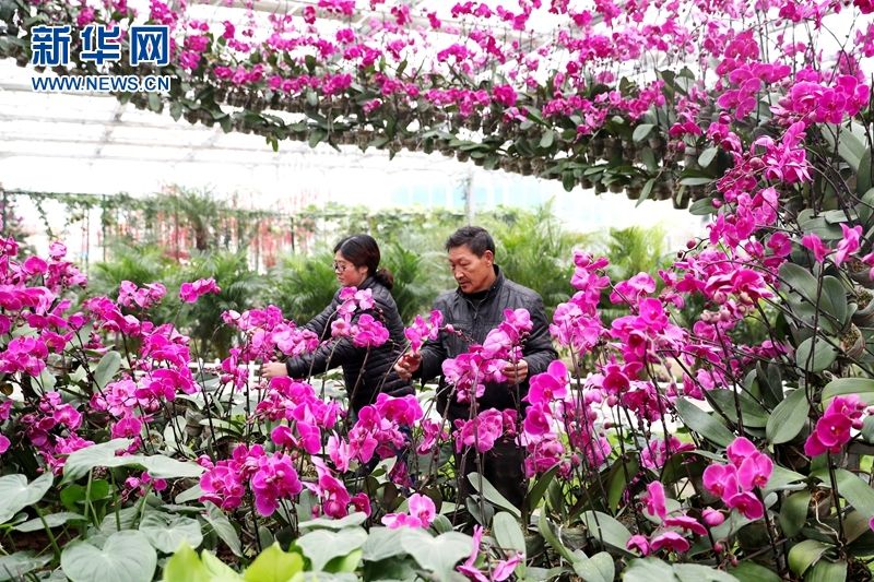 广安农家乐和休闲农庄,广安樊家河生态休闲农庄