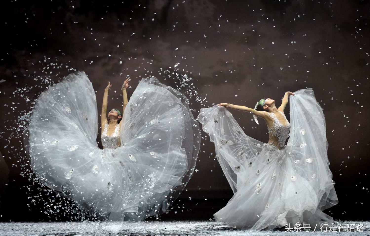 杨丽萍酒店分析,杨丽萍艺术酒店多少钱一晚