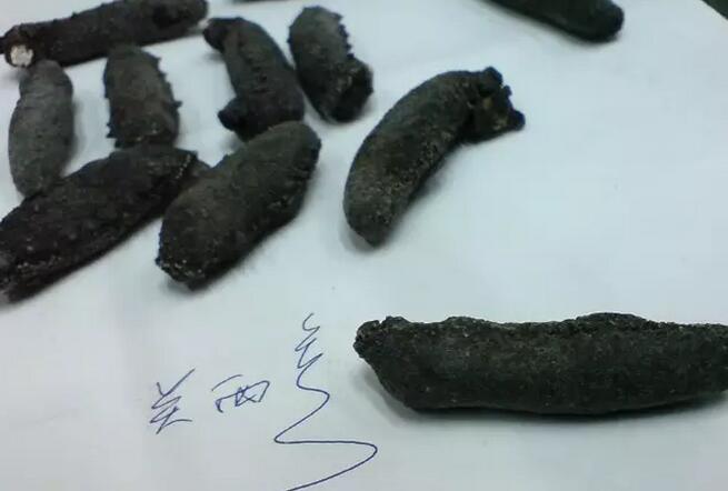 你知道世界上的鱼类有多少个,你知道的海底世界有多少种鱼