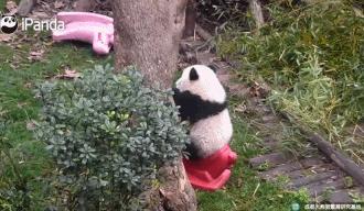 秘鲁冬季旅游攻略,去秘鲁的海滩