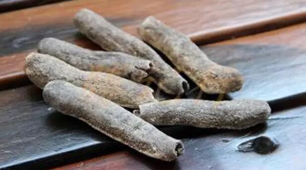 你知道世界上的鱼类有多少个,你知道的海底世界有多少种鱼