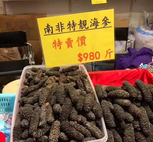 你知道世界上的鱼类有多少个,你知道的海底世界有多少种鱼