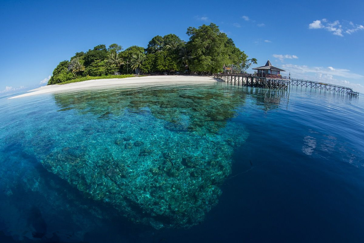 去沙巴旅游的原因,一定要去马来西亚的理由