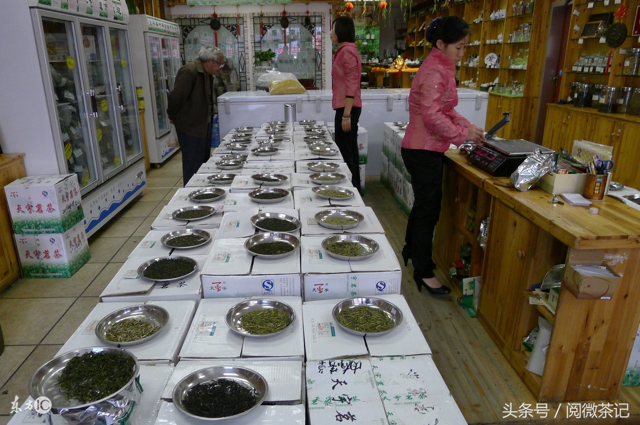 初学者怎么样喝茶,初学者喝茶入门套装