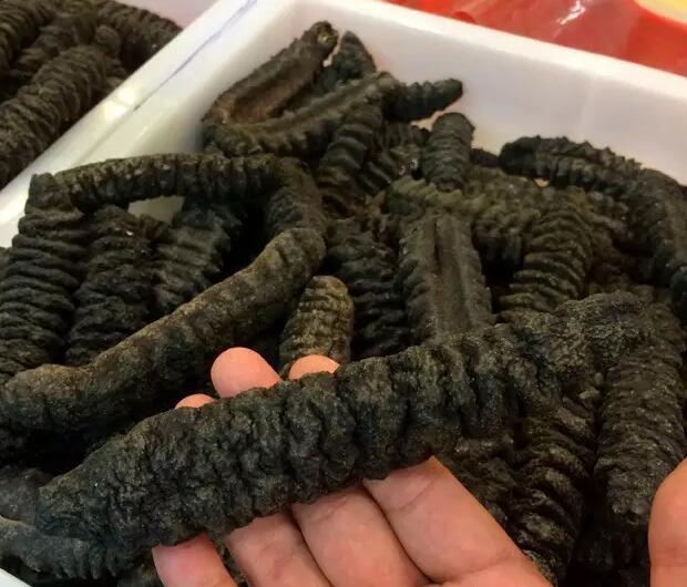 你知道世界上的鱼类有多少个,你知道的海底世界有多少种鱼