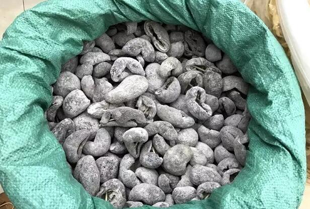 你知道世界上的鱼类有多少个,你知道的海底世界有多少种鱼