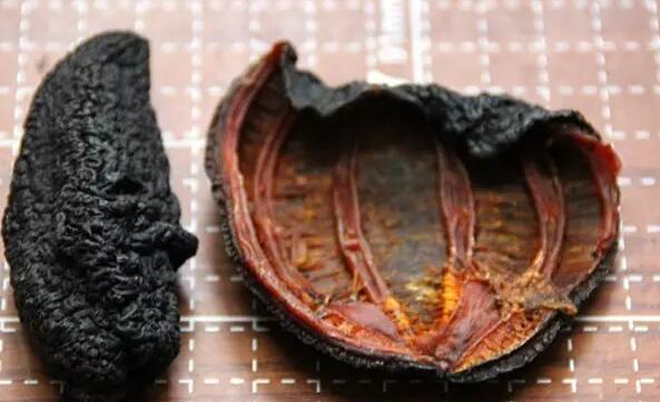 你知道世界上的鱼类有多少个,你知道的海底世界有多少种鱼