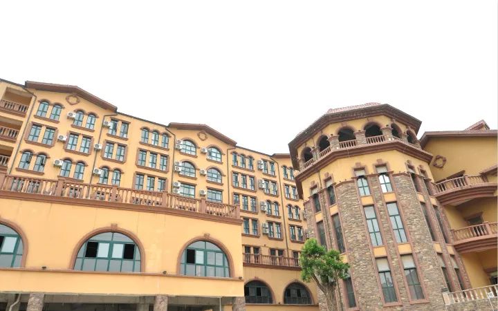 报告老板有几季,报告老板从哪里火的