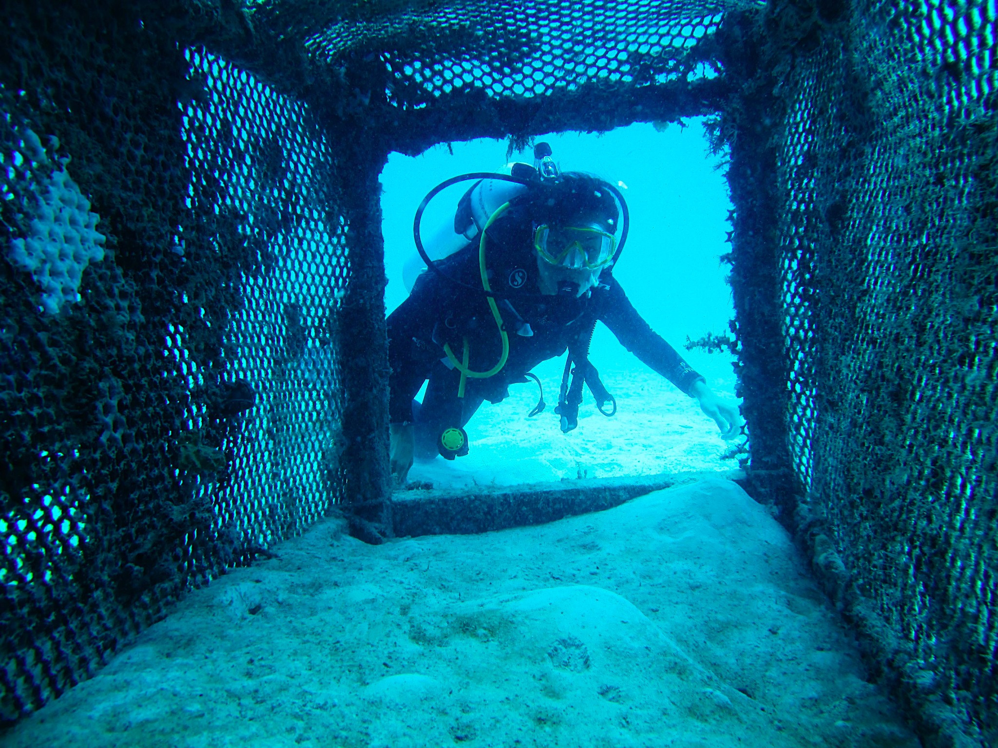 去沙巴旅游的原因,一定要去马来西亚的理由