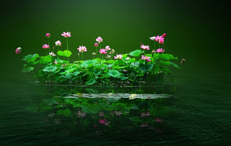 孟子说穷则独善其身达则兼善天下,孟子经典语录穷则独善其身