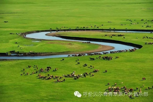 呼伦贝尔自由行攻略,呼伦贝尔自由行