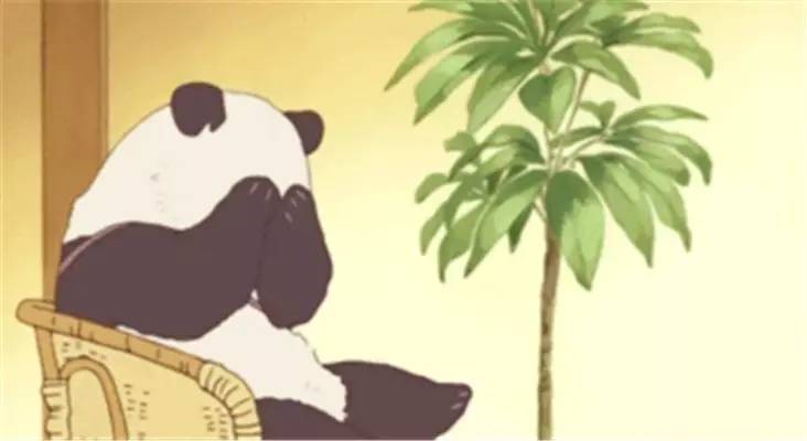 辣词|原宿、森系、哥特成为潮人先学这些词！