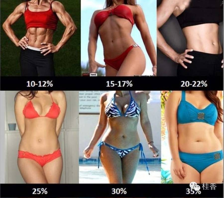 桂香-衣之道CH2：测量尺码，了解人生轨迹