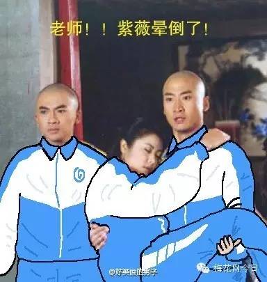 尔康表情包绿幕,尔康表情包原片段