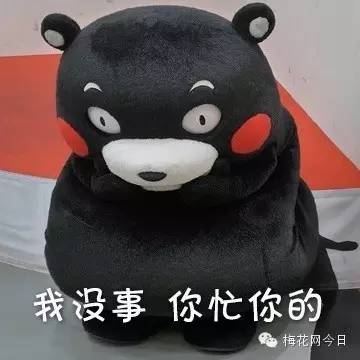 尔康表情包绿幕,尔康表情包原片段