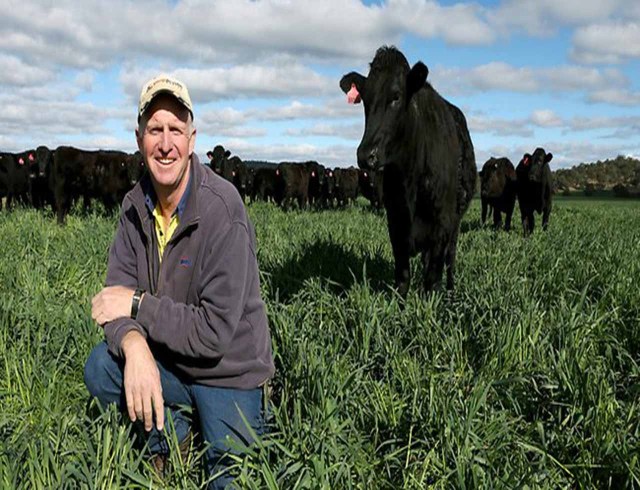 西餐点餐技巧大全,西餐厅点全熟牛排不尴尬
