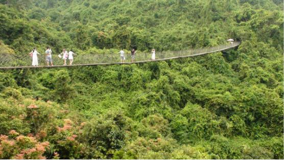 三亚吃喝玩乐亲身攻略