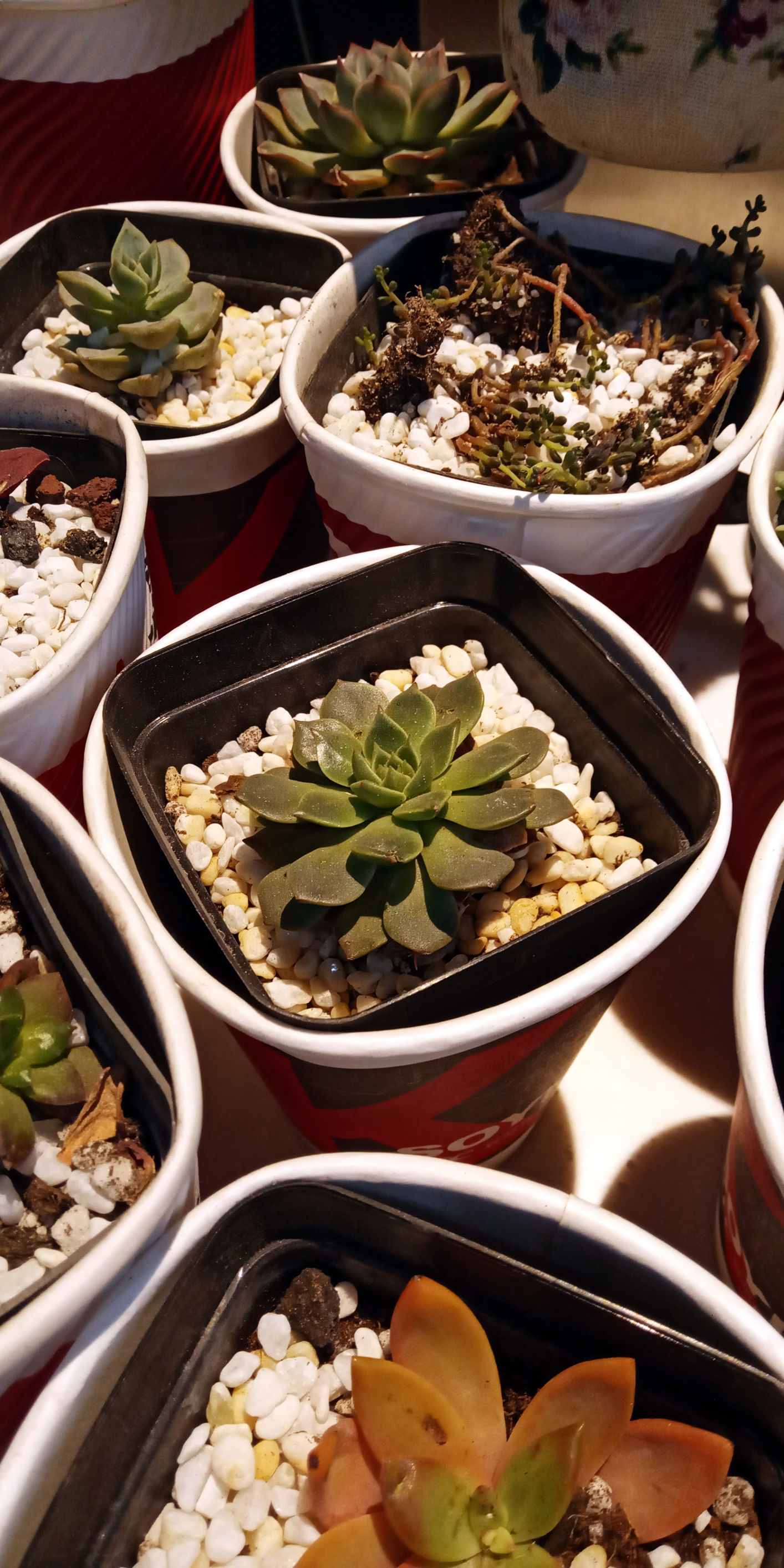 国美手机u7评测视频,国美u7是全贴合屏幕吗