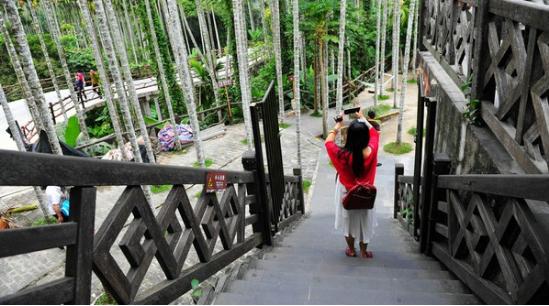 三亚吃喝玩乐亲身攻略