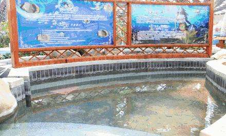 冬天泡温泉暖心还暖身等你来泡,泡温泉祛湿最佳季节