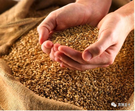 我们的农场这么多好产品，你却千里迢迢去买假货？！