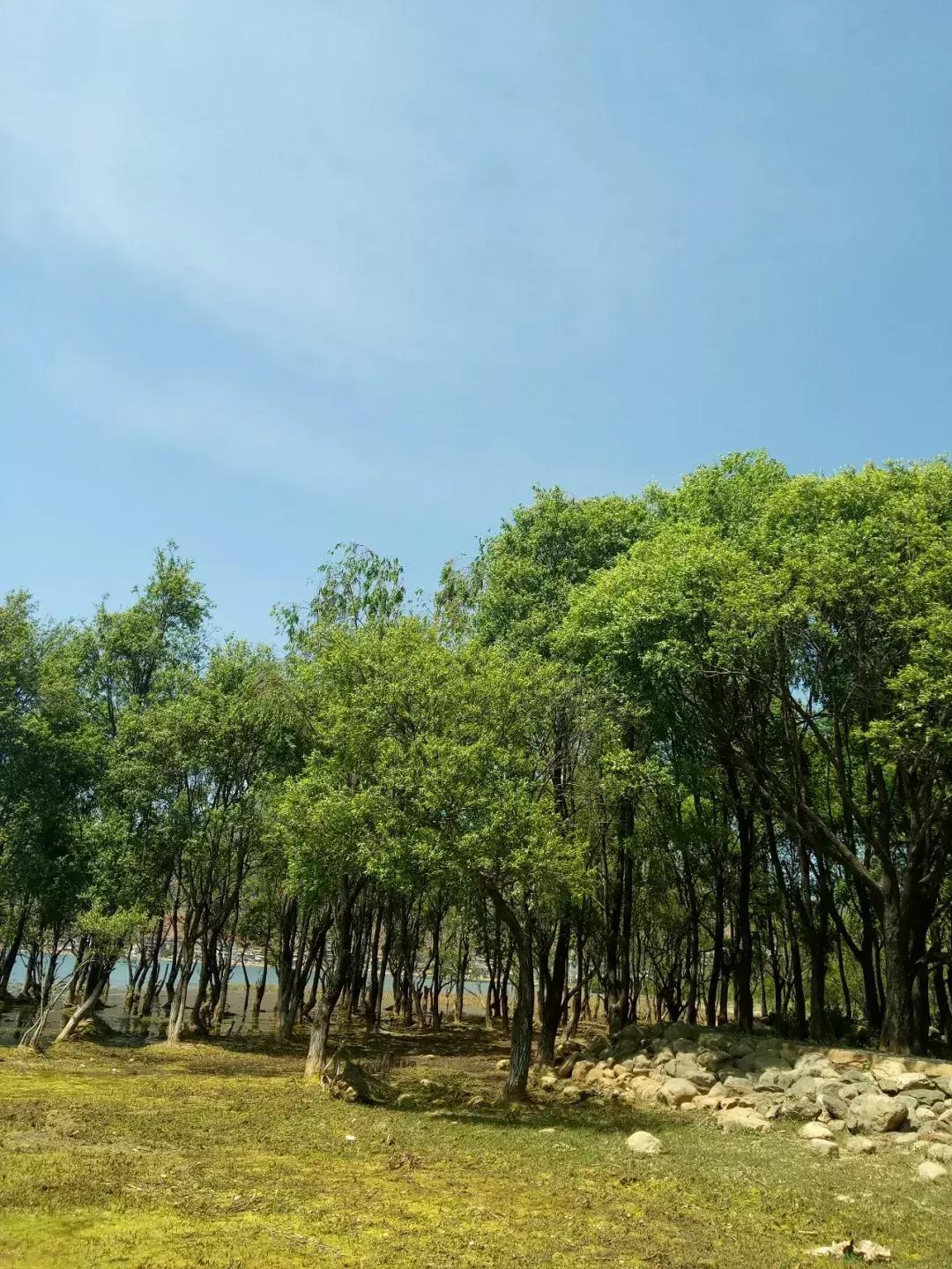 大理秘境峡谷,大理秘境海景民宿