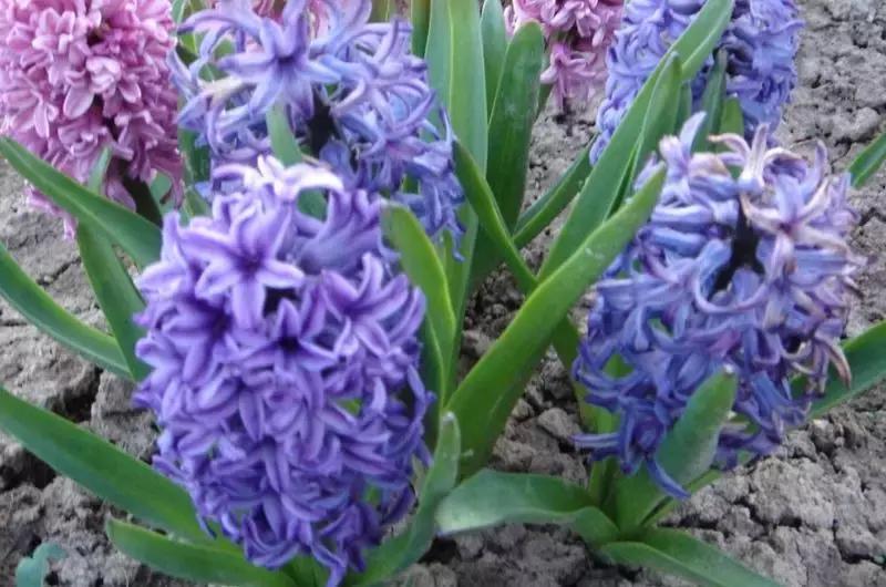 外贸常识500条,外贸营销100个常识