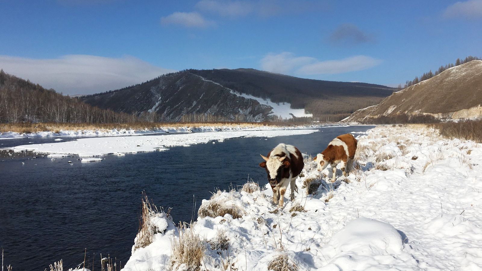 老李故事会全部,老李故事会大全